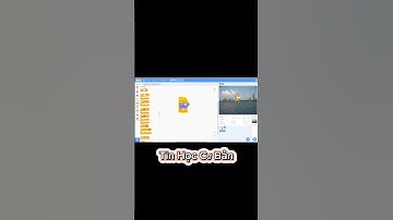 Lập Trình Scratch | Con Mèo Di Chuyển | Tin Học Cơ Bản