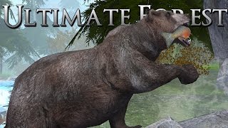 Feeding a Hungry Mother Bear!! • Ultimate Forest Simulator screenshot 3