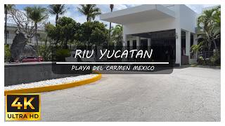 Riu Yucatan - Playa Del Carmen Mexico - Virtual Walk - Walking Tour 4k