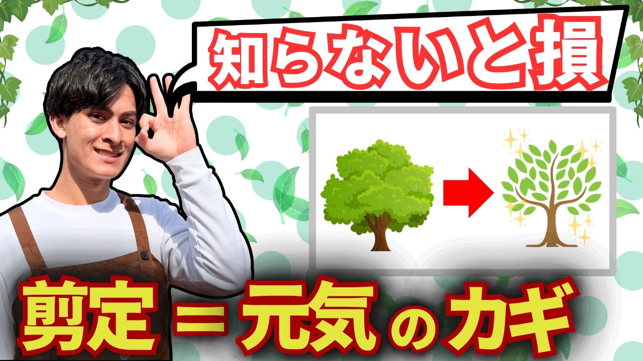 【剪定】植物を切るのが怖い人へ|どの植物にも使えるコツ3つ✂️