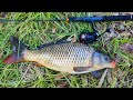 Big Carp On Small Fishing Rod - Small Creek Fishing Recon