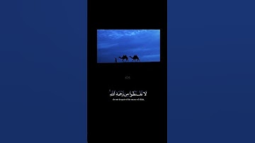 لا تقنطوا من رحمة الله 😞🤍#آيات #قران #اللحيدان #رحمه_الله #الله #الغفور #جزائر #