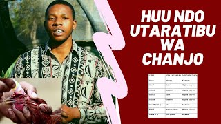 HUU NDO UTARATIBU WA CHANJO ZA KUKU/KILIMO NA MIFUGO ISRAEL HUU NDO UTARATIBU WA CHANJO ZA KUKU/KILIMO NA MIFUGO ISRAEL