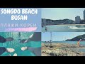 ПЛЯЖ СОНГДО/ Корея тур/ Songdo Beach Korea/ 부산송도해수욕장