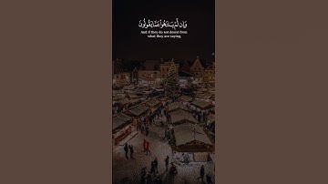 سورة المائدة - الشيخ سعد الغامدي #قرآن #قران_كريم #المصحف #اكسبلور