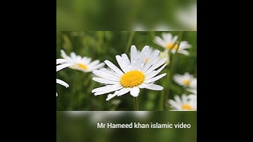 Thumbnail of surah Fil in beautiful voice |Raad al kurdi| Nature with Quran recitation .