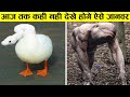 10 ऐसी चीजे जो आप जिंदगी में पहली बार देखेंगे 10 things you will see first time in your time