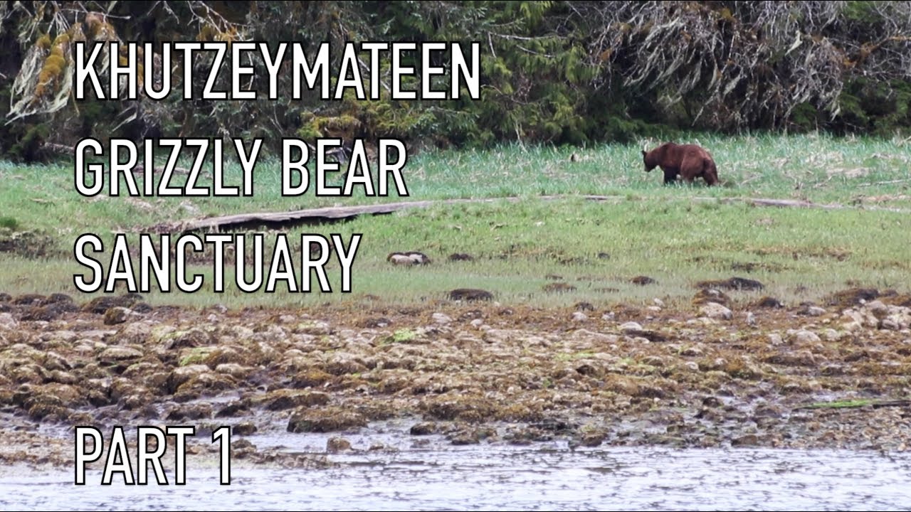 Life is Like Sailing – Khutzeymateen Grizzly Bear Sanctuary – Part 1