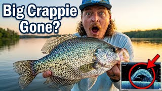 Stop Blaming LiveScope — This Is Why You're Missing Crappie