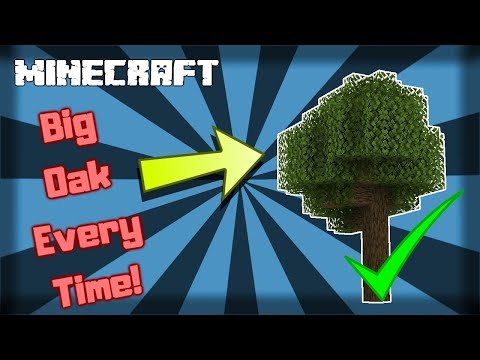 Video: Kaip Auginti Medį „Minecraft“