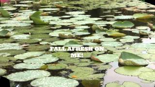 Video thumbnail of "COME HOLY SPIRIT (FALL AFRESH ON ME)"