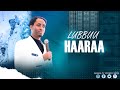 Lubbuu Haaraa Raajii Masarat Taayyee BEDELE CRUSADE Araratvworldwide 