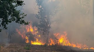 Incendies : sept communes évacuées par mesure préventive aux portes de Bordeaux