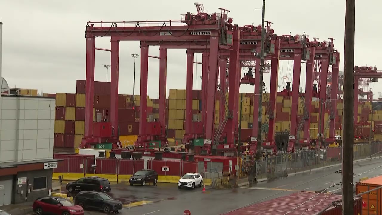 The affects of the trade war and tariffs on ginseng farmers