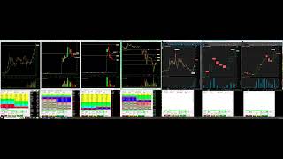 150   Webinar 10292024 Djt
