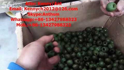 QH-500 automatic green plum pitting machine, fruit pitting coring stoning, stone removing machine