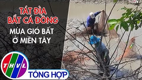 Tát đìa bắt cá đồng mùa gió bấc ở miền Tây