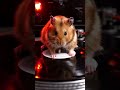 #youtubeshorts #trending #aivideo #ai #shorts