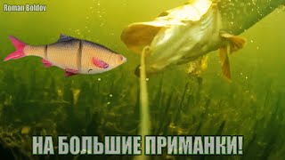 Рыбалка🎣 ЗРЕЛИЩНЫЕ АТАКИ ЩУК на БОЛЬШИЕ ПРИМАНКИ🐟 Подводная съёмка