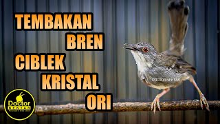 SUARA TEMBAKAN CIBLEK KOMPLIT | CIKRIS GACOR FULL BREN UNTUK PANCINGAN DAN MASTERAN MURAI BATU,KONIN screenshot 5