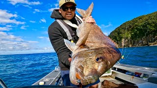 SOLO Fishing for BIG aggressive snapper