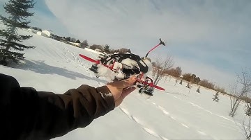 250 quad testing and crash