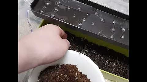 토양습도센서를 촉촉한 흙에서 마른 흙으로 옮김에 따라 수중모터가 작동한다.