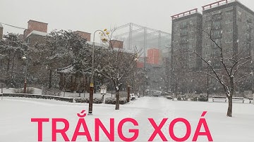 CẢNH TUYẾT RƠI TRẮNG XOÁ TRÊN ĐƯỜNG 🌨. TẬP 53