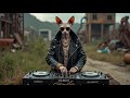 Underground Techno Cats 🐾 Minimal Journey | Euphoric Pulse