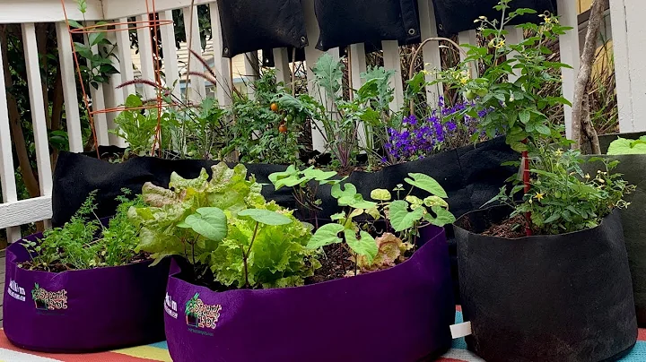 Live: 5 Tips to Grow  LOTS of  Veggies in a Small ...