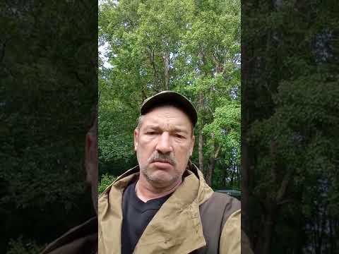 Анекдот про семейную пару!#shorts#анекдоты#смешные анекдоты