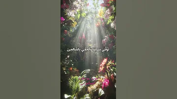 سورة يوسف المنشاوي القرآن الكريم المنشاوي اكسبلور تلاوات قرآنية لايك تلاوة خاشعة 