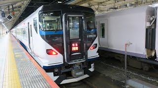 E257系（IGBT-VVVF）特急湘南　通過シーン