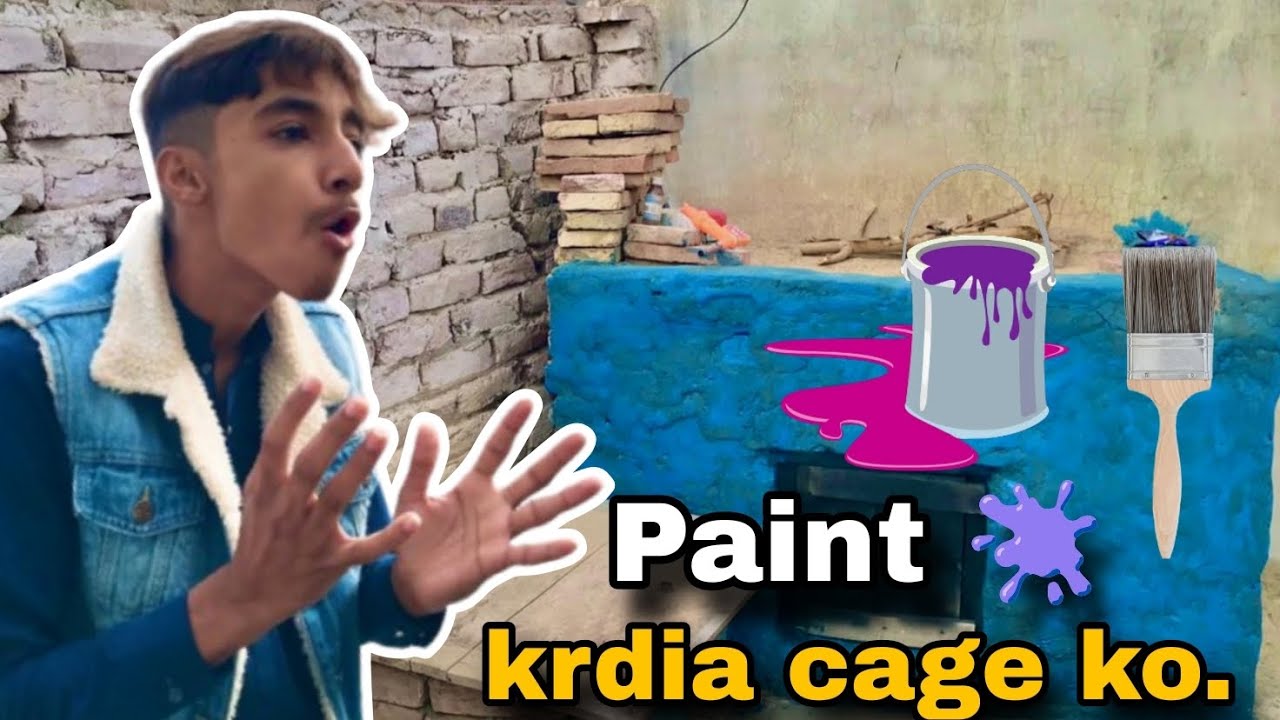 Big Cage ko Paint 🫟 kr dia.|||| Pigeon urh gya😭🙏..