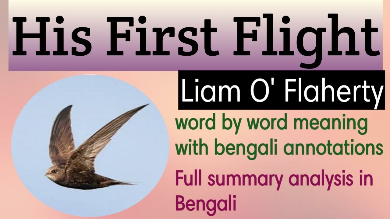 Download His First Flight By Liam O'Flaherty Class ix Summary in Bengali