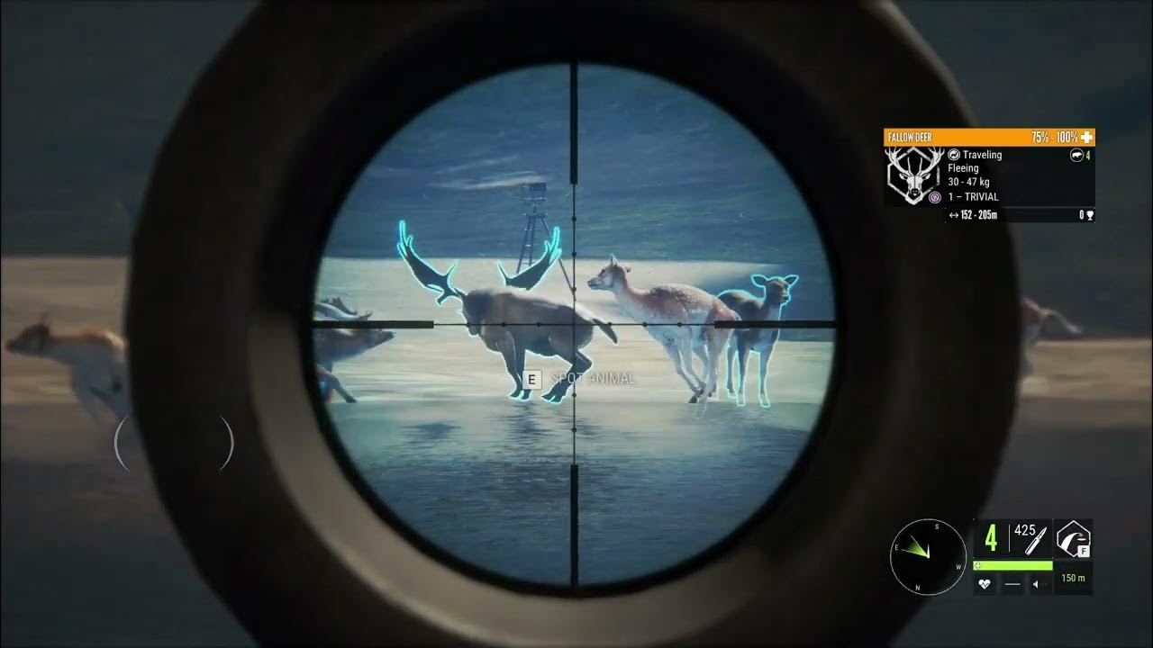 TheHunter Call Of The Wild!! Great One Fallow Deer Number 3 YouTube