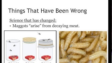 Problem Statements & Hypotheses #1