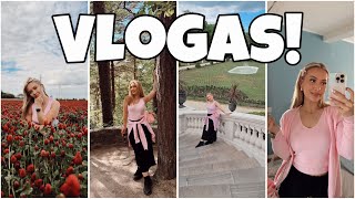 VLOGAS (Palanga, Plungė)