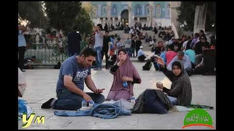 41 Fussilat Abdullah Kamel سورة فصلت