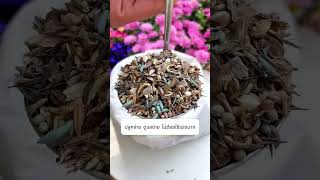 เมล็ดพันธุ์รวม 21 ชนิด เปลี่ยนพื้นที่ว่างให้กลายเป็นสวนดอกไม้สีสันสดใส