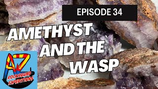 Amethyst And The Wasp Ep.34