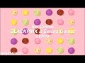 Ice Cream || BLACKPINK &amp; Selena Gomez Lyrics