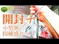 #アクアリウム 開封！小型魚を４種類お迎え＆紹介