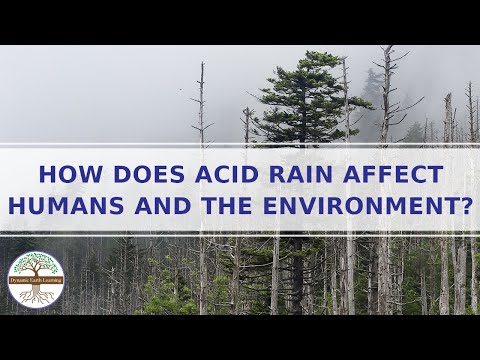 अम्ल वर्षा मनुष्य और पर्यावरण को कैसे प्रभावित करती है