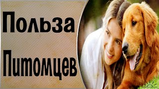 Польза домашних животных. Для чего заводить питомцев. Общение с Духами Польза домашних животных. Для чего заводить питомцев. Общение с Духами