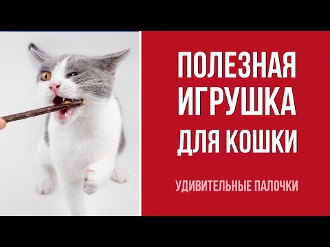 Палочка Мататаби поможет кошке расслабиться и отвлечься