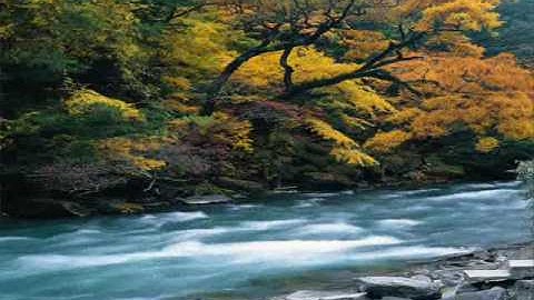 سورة التحريم 66