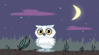 Or The Owl Resimi