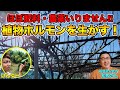 【道法スタイル】植物ホルモンの流れ，果樹の樹形の理屈！土には石を入れろ！？根が弱る原因とは！？【福岡県糸島市 和馬さん②】