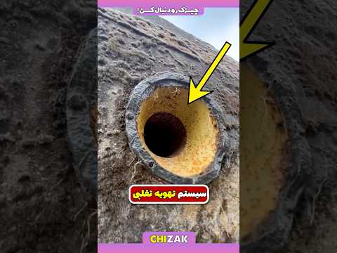 مهندسی خاص و بینظیر سنگر های آلمانی حقه سربازان آلمان